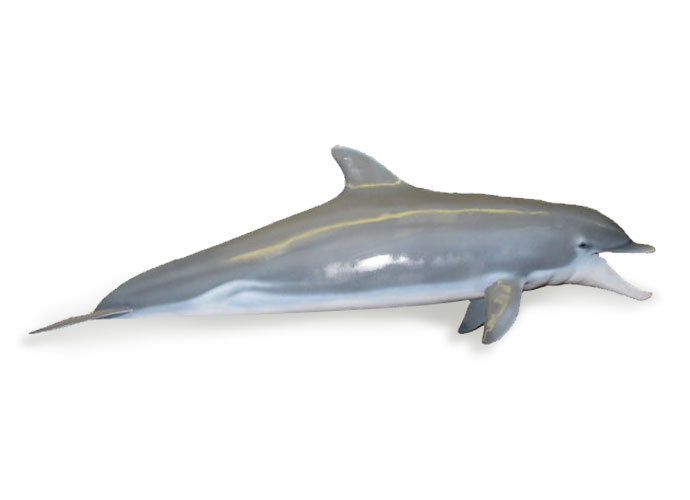 composite-plastic-products-custom-parts-projects-dolphin-sculpture